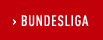 Bundesliga